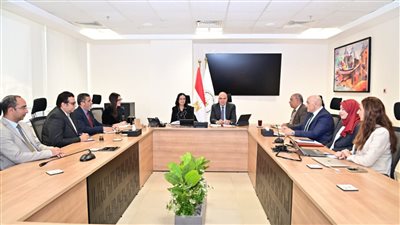 وزيرا الري والتضامن    