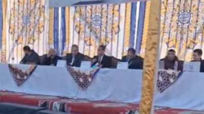 انتخابات مجلس النواب 2025    