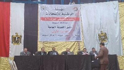 انتخابات مجلس النواب 2025    