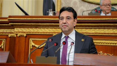 النائب أيمن محسب    