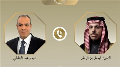 وزير الخارجية المصري ونظيره السعودي     