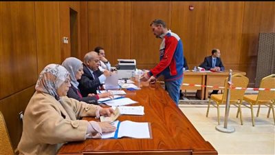 جانب من التصويت     