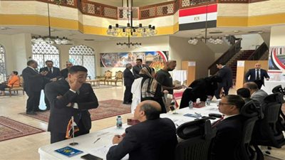 انتخابات المصريين في الخارج    