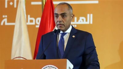 المستشار أحمد بنداري    