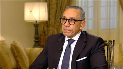 السفير المصري لدى لبنان علاء موسى    
