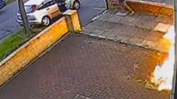 الرئيس نيوز