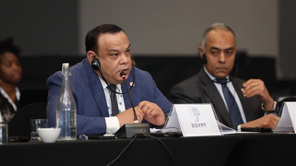 المستشار حازم بدوي