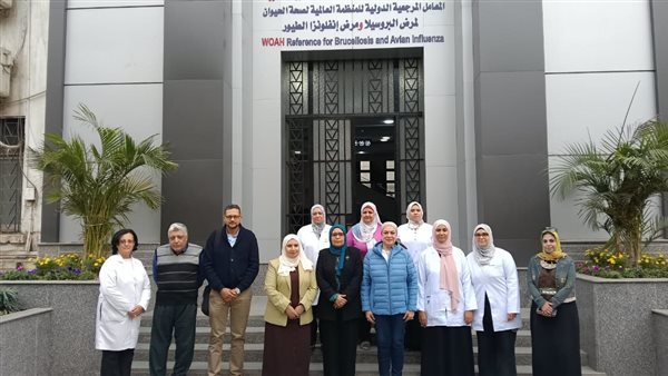 بحوث الصحة الحيوانية