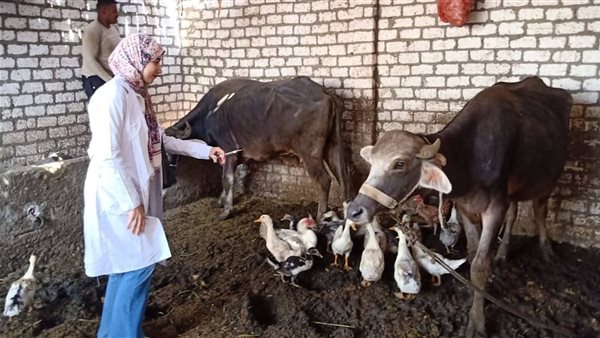 الرئيس نيوز