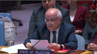 رياض منصور - مندوب فلسطين لدى الأمم المتحدة    