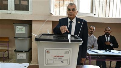 المستشار عصام فريد    