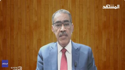 الكاتب ضياء رشوان     