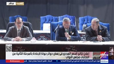 نتيجة انتخابات دائرة طنطا     