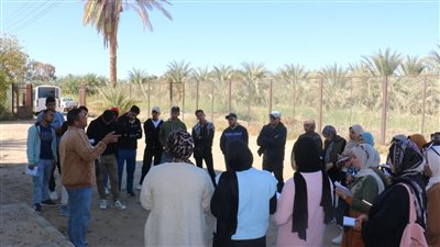 طلاب الجامعة     