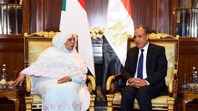 جانب من اللقاء    