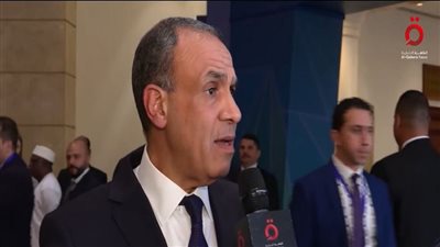 الدكتور بدر عبد العاطي - وزير الخارجية     