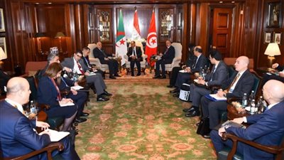 وزير الخارجية بدر عبد العاطي    