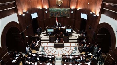 مجلس الشيوخ - أرشيفية    