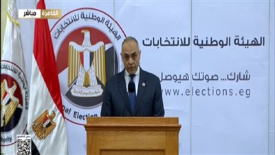  المستشار أحمد بنداري    