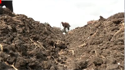 الأراضي الزراعية بالأوقاف     