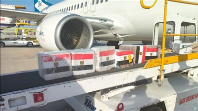 قافلة طبية للسودان    