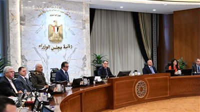 مجلس الوزراء    