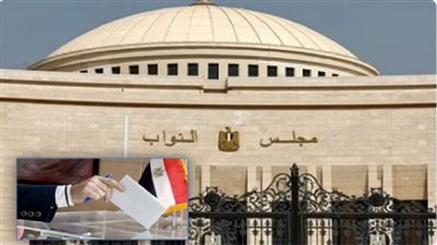 الانتخابات البرلمانية 2025    