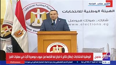 الهيئة الوطنية للانتخابات     