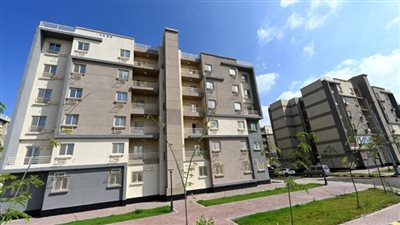 منصة مصر العقارية    