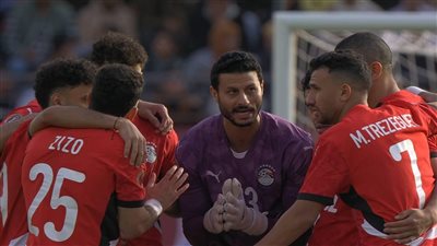 محمد الشناوي    