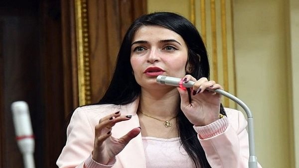  النائبة إيرين سعيد    