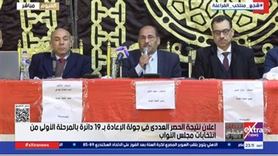 نتيجة انتخابات الدوائر الـ19 الملغاة     