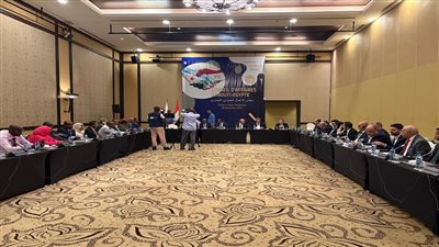 مجلس الاعمال المصري - الجيبوتي     