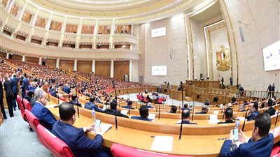 مجلس النواب العاصمة الإدارية     