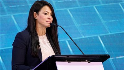 وزيرة التخطيط    