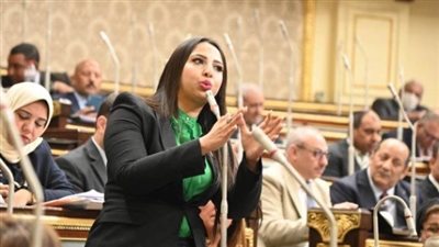 النائبة نشوى الشريف     