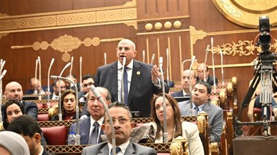 النائب أشرف عبد الغني    