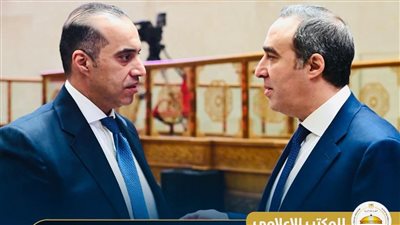 المستشار محمود فوزي     