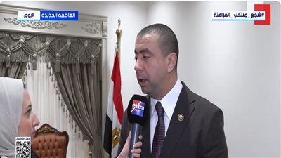 النائب أحمد بهاء شلبي    