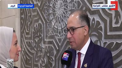 النائب أحمد سعيد شلبي    