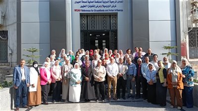 معهد بحوث الصحة الحيوانية    