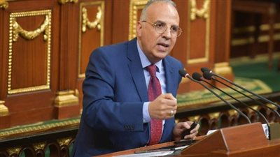 الدكتور هاني سويلم وزير الري،     