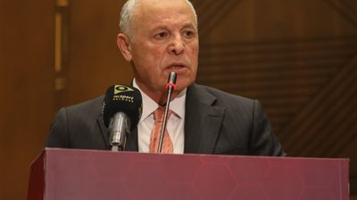 هاني أبو ريدة    