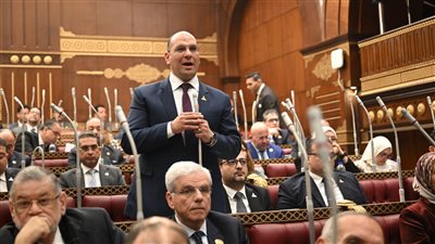 النائب أحمد إدريس    