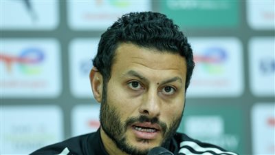 محمد الشناوي    