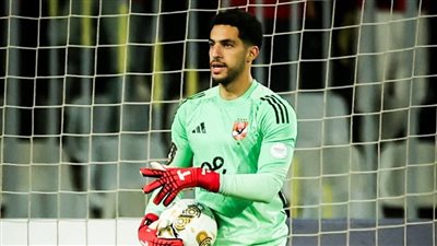 مصطفى شوبير     