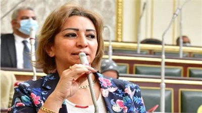 الدكتورة مها عبدالناصر، وكيل لجنة الاتصالات بالبرلمان    