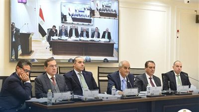 المستشار محمود فوزي     