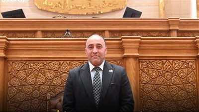 النائب حسام حسن     