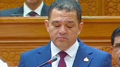 أمير الجزار     